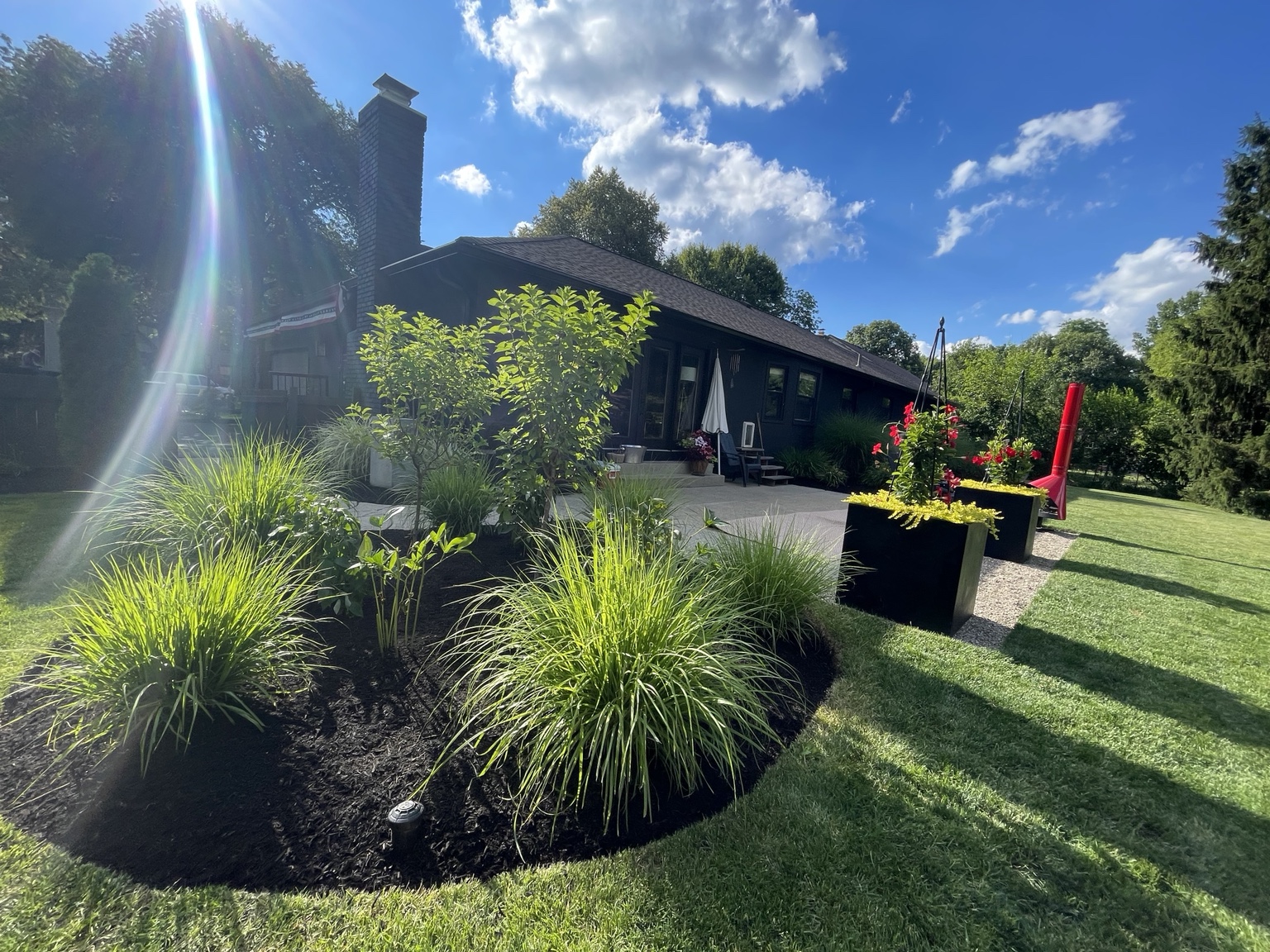 Curved landscape bed with ornamental grasses