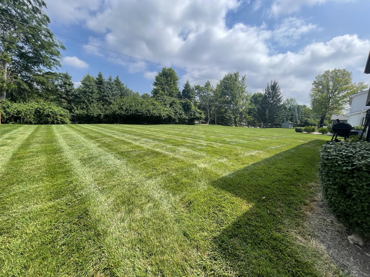 Freshly mowed lawn with professional striping in Columbus Ohio