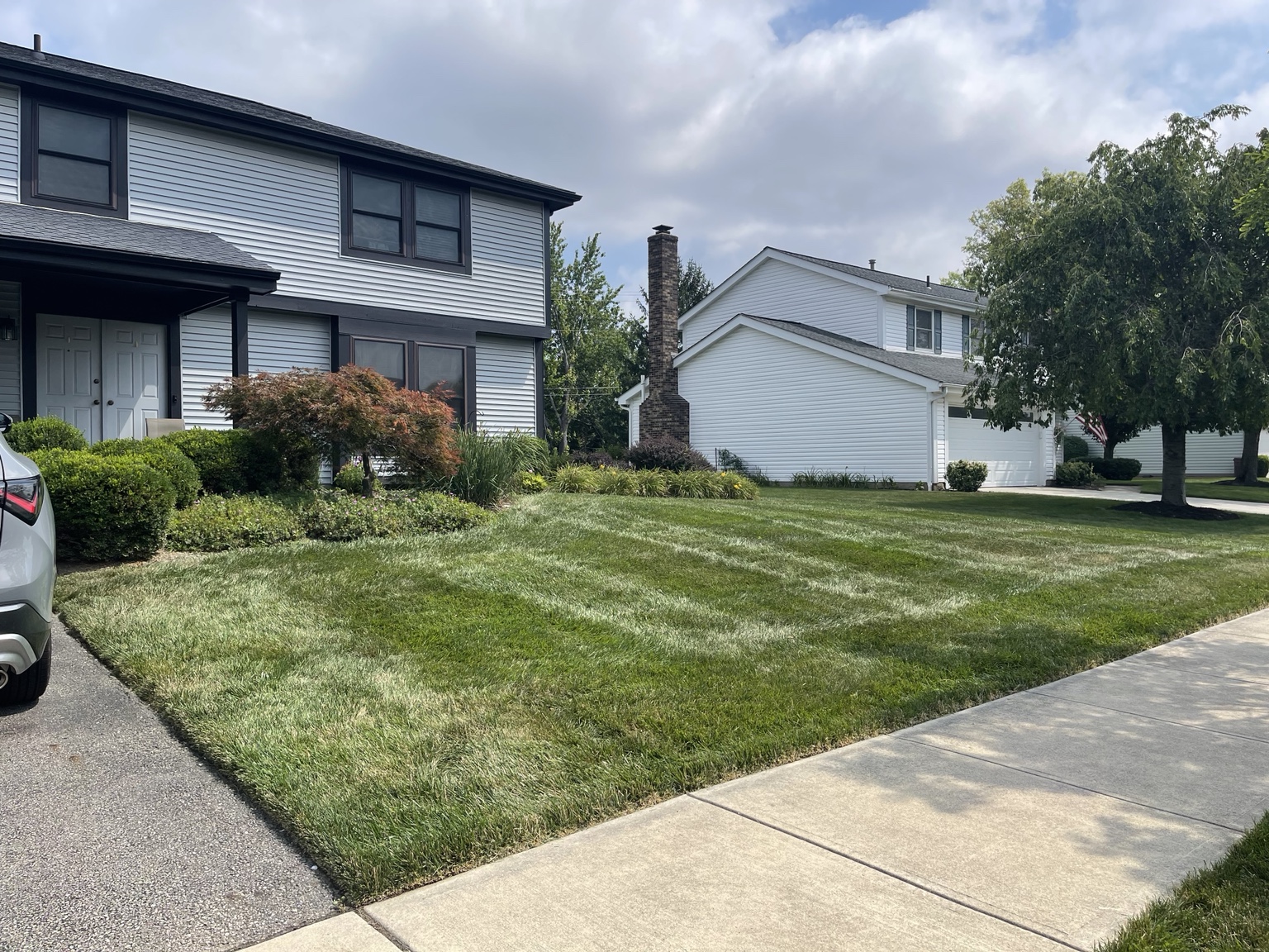 Mowed and edged residential lawn