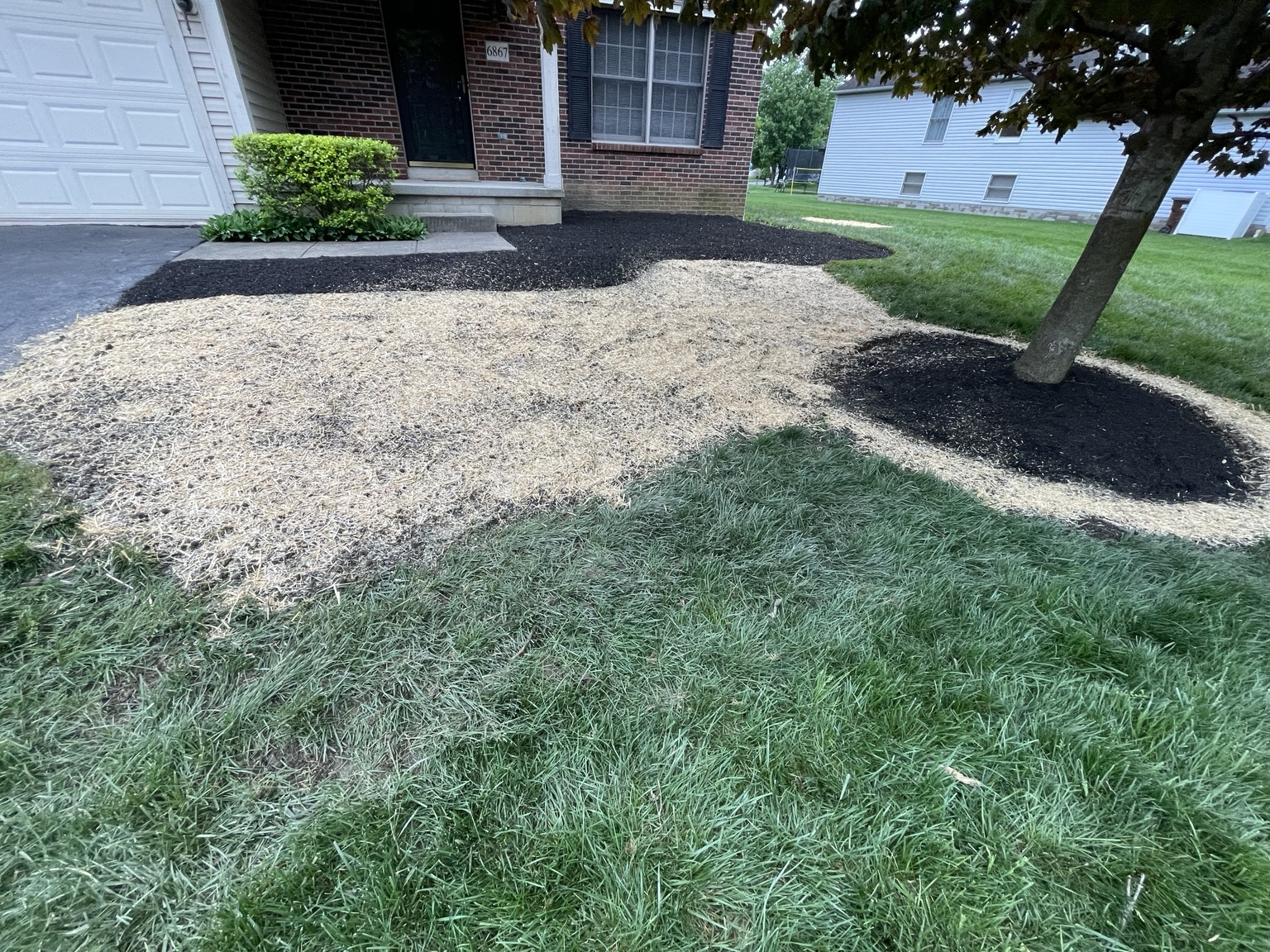 Prepared lawn area after stump removal