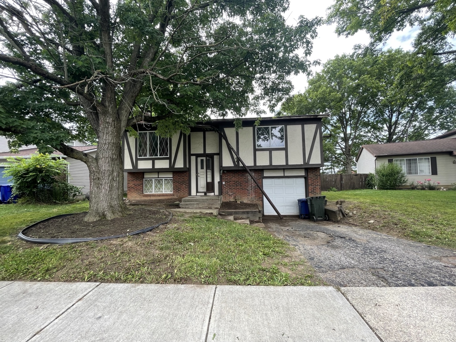 Cleaned residential property after brush removal