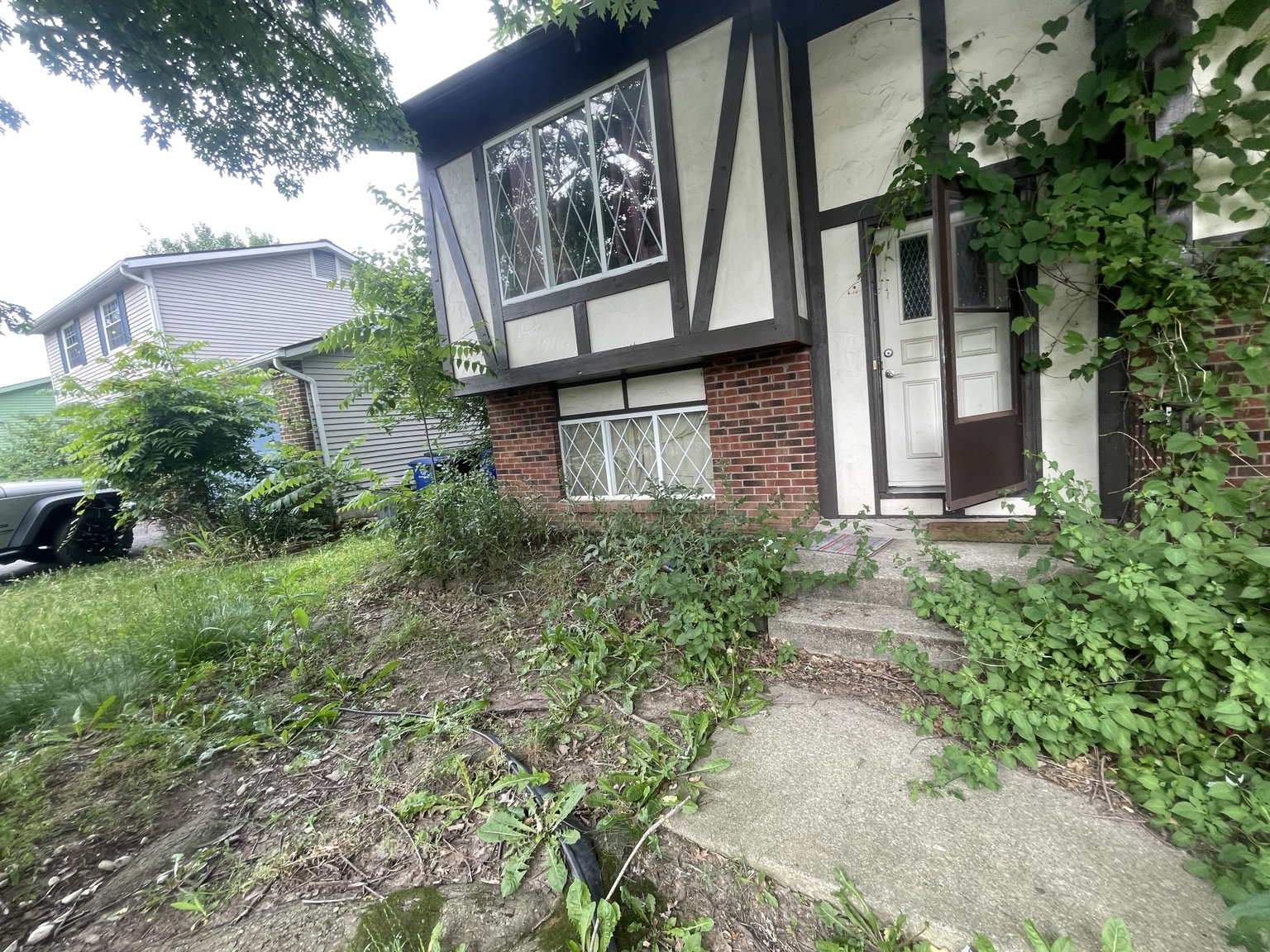 Overgrown front property before cleanup