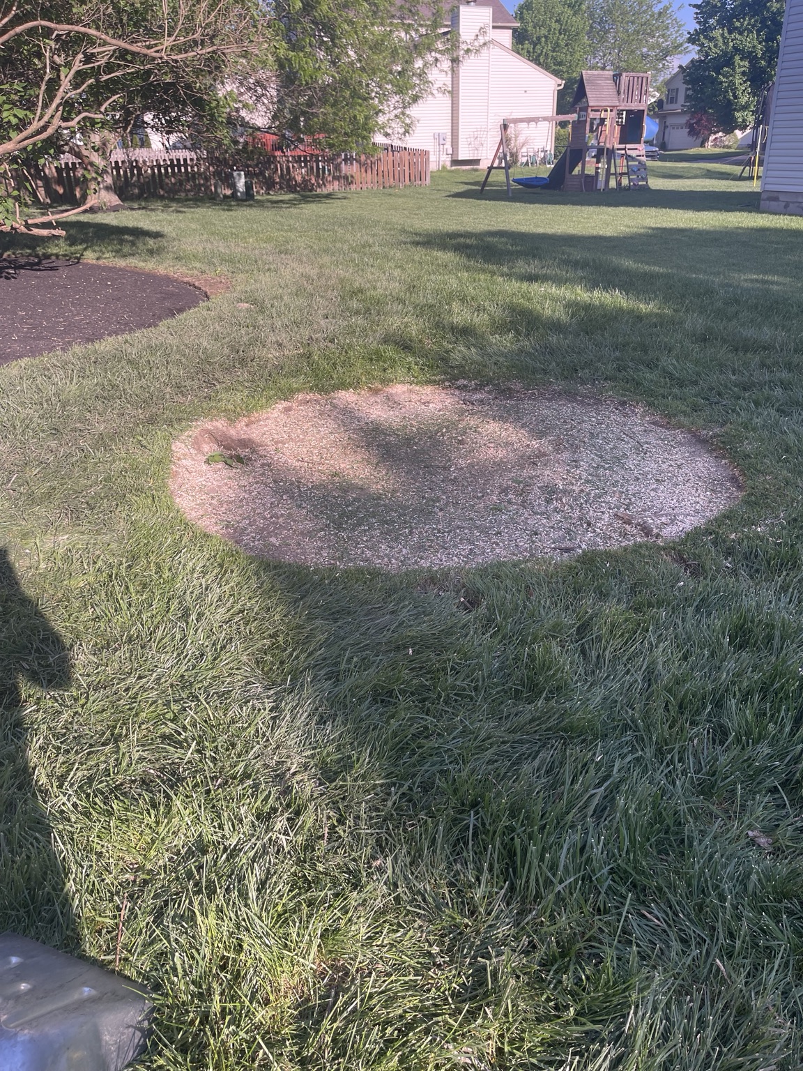 Bare lawn area before restoration after stump work