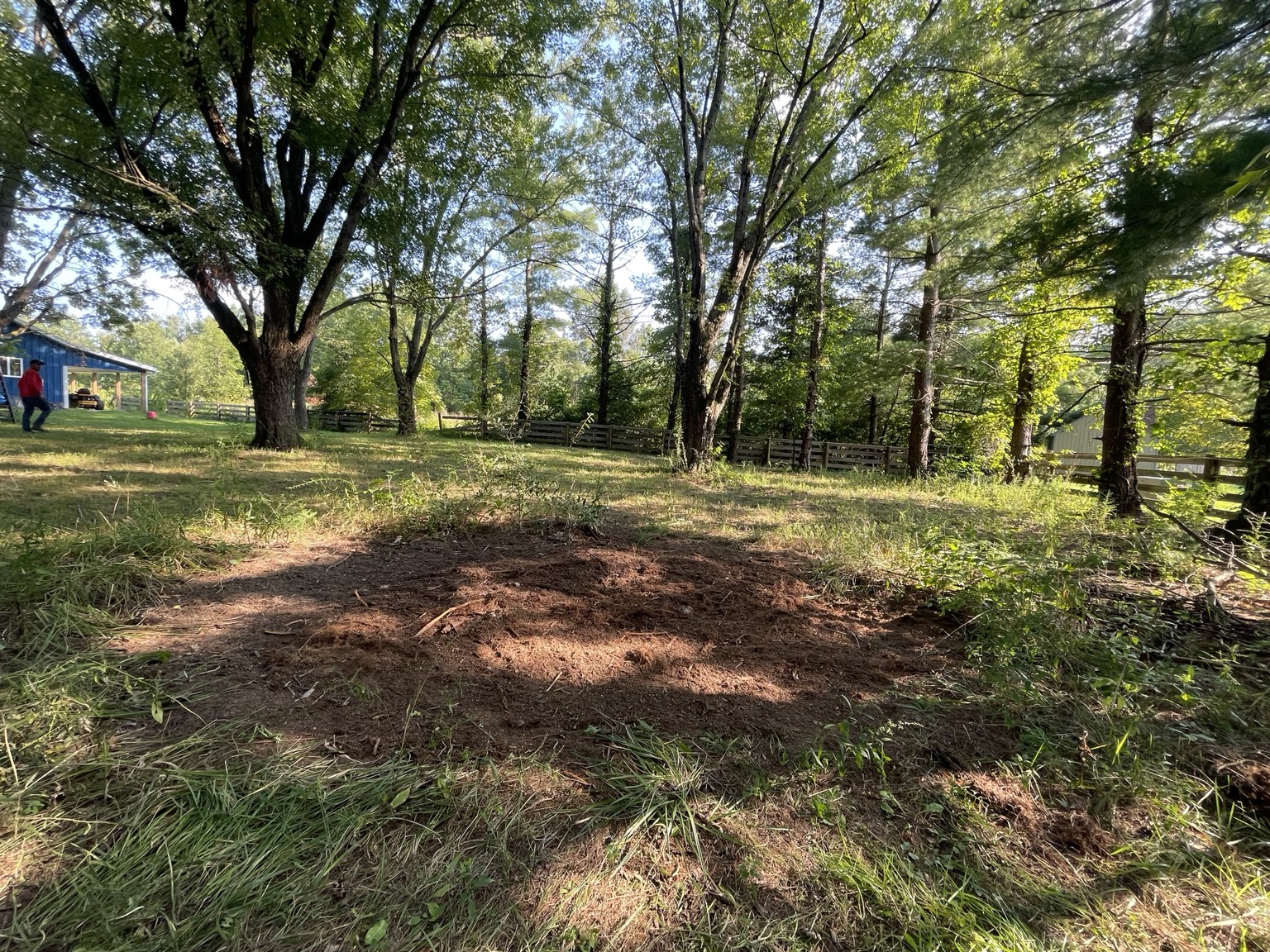 Cleared ground after tree removal and cleanup