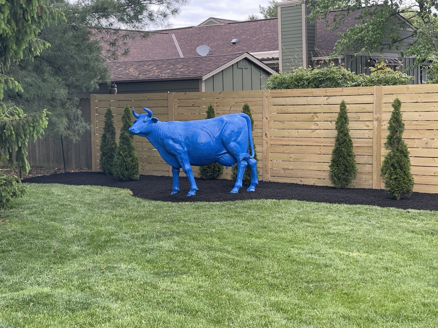 Custom horizontal wood fence section